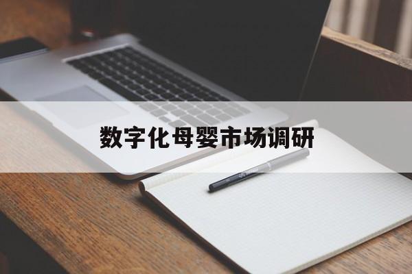 鄂州市数字化母婴市场调研(数字化母婴市场调研报告)
